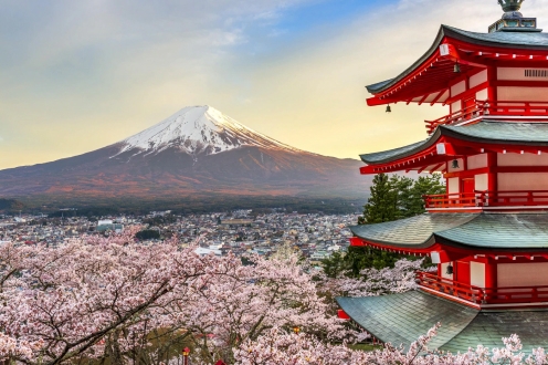 Sake and secrets: Japan's most treasured wonders