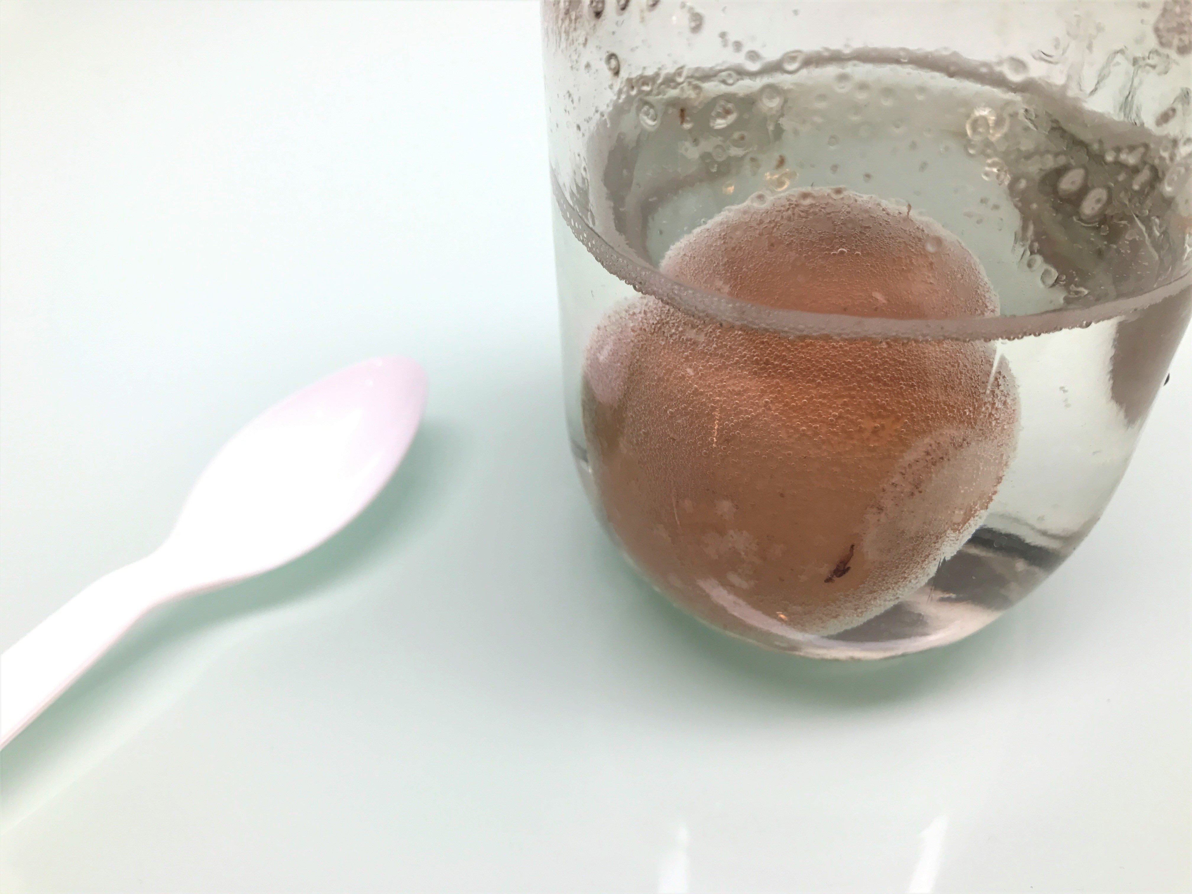 Vinegar And Egg Experiment Explanation