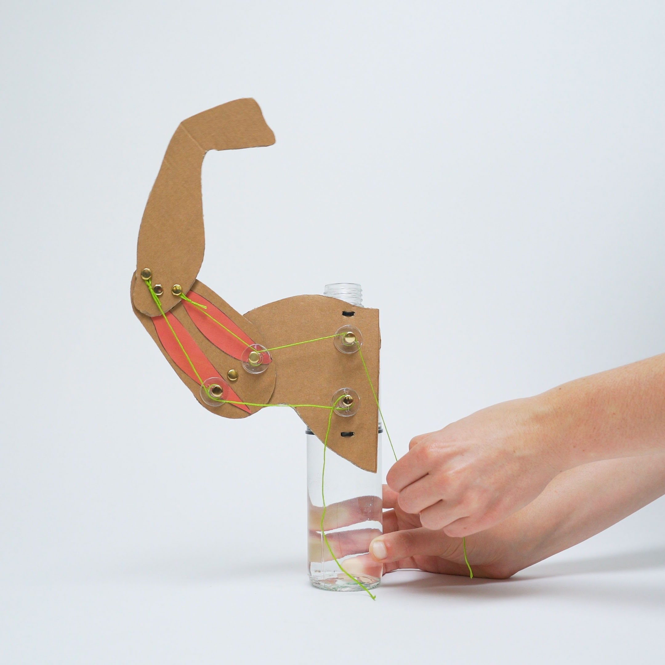 Muscle Machine DIY for Beginners KiwiCo