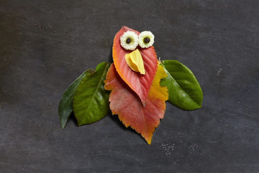 Parrot_retouched-1024x683.jpg
