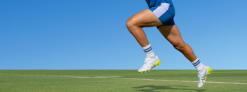 The RAIKO Collection