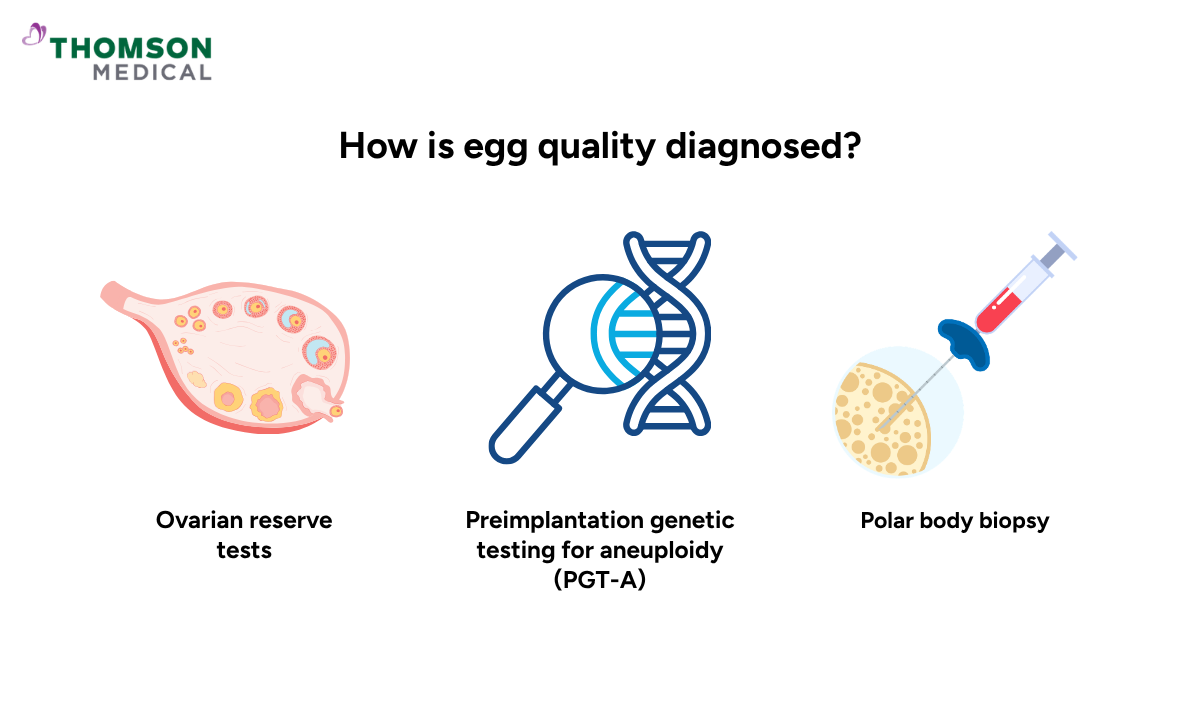 illustration of how is egg quality diagnosed