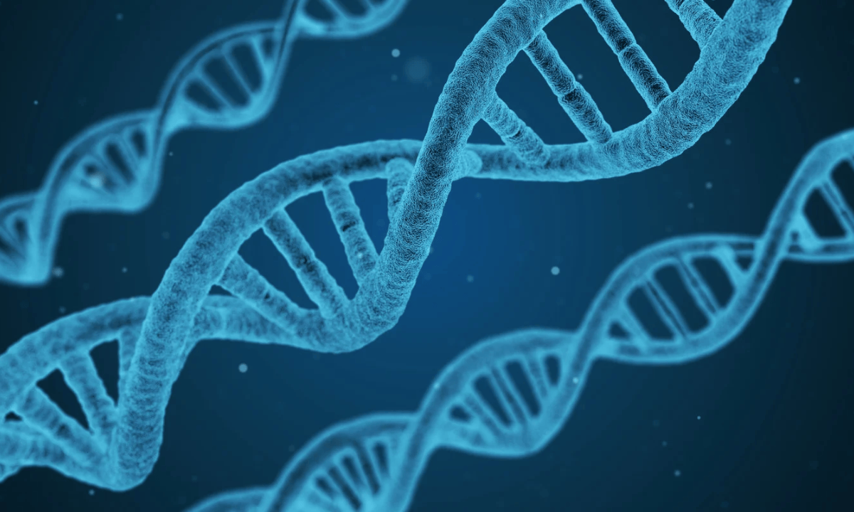 illustration of a DNA strand