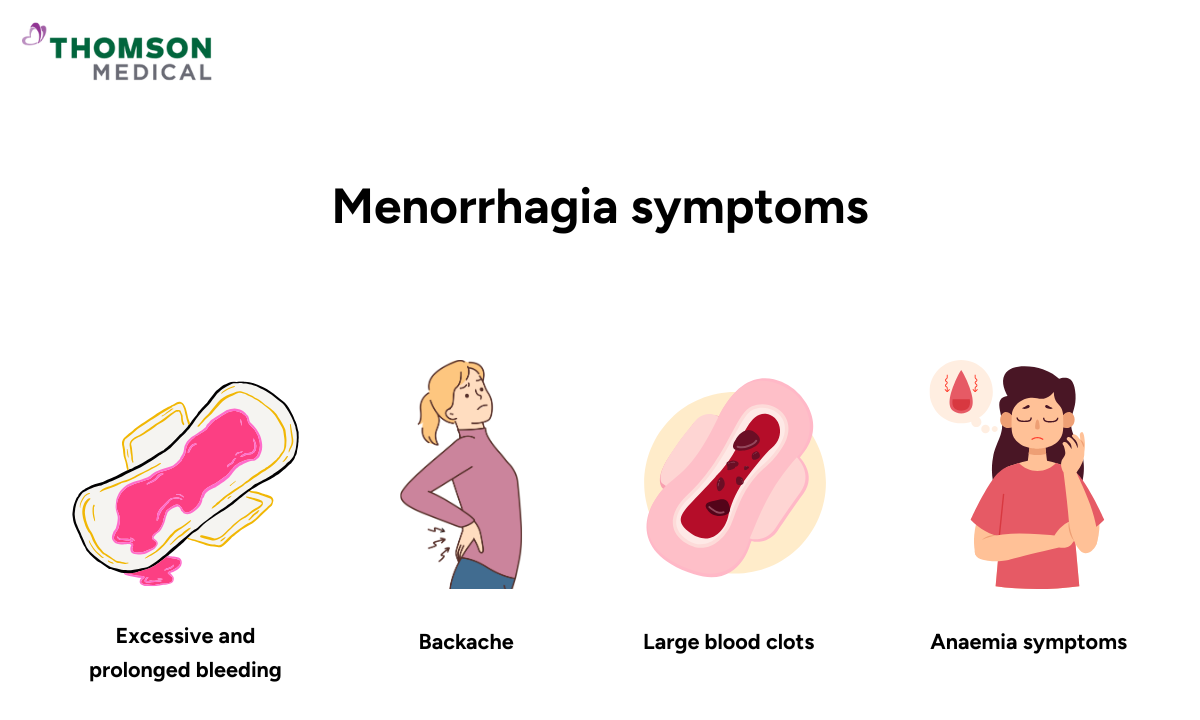 illustration of menorrhagia symptoms