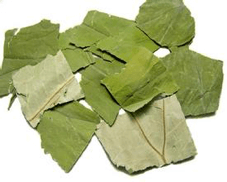 Weight Loss Through Acupuncture 1 Lotus Leaf.png
