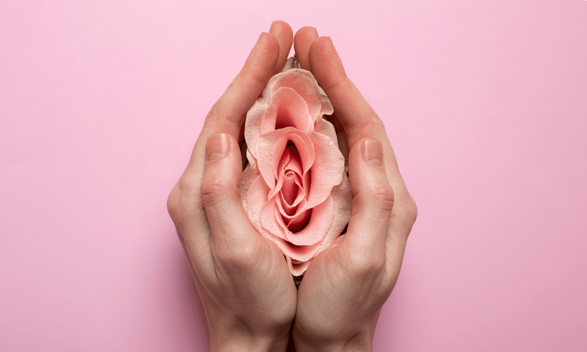 image illustration of the external vaginal area (vulva)