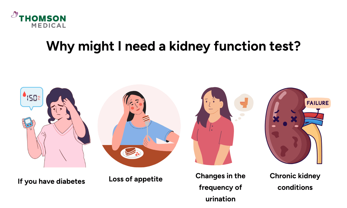 blog-image_screening_need-of-kidney-function-test.png