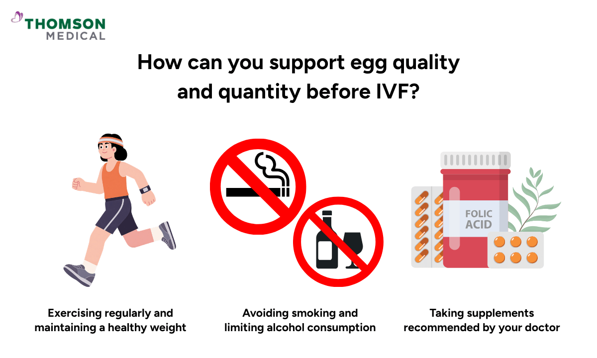 illustration on how can you support egg quality and quantity before IVF