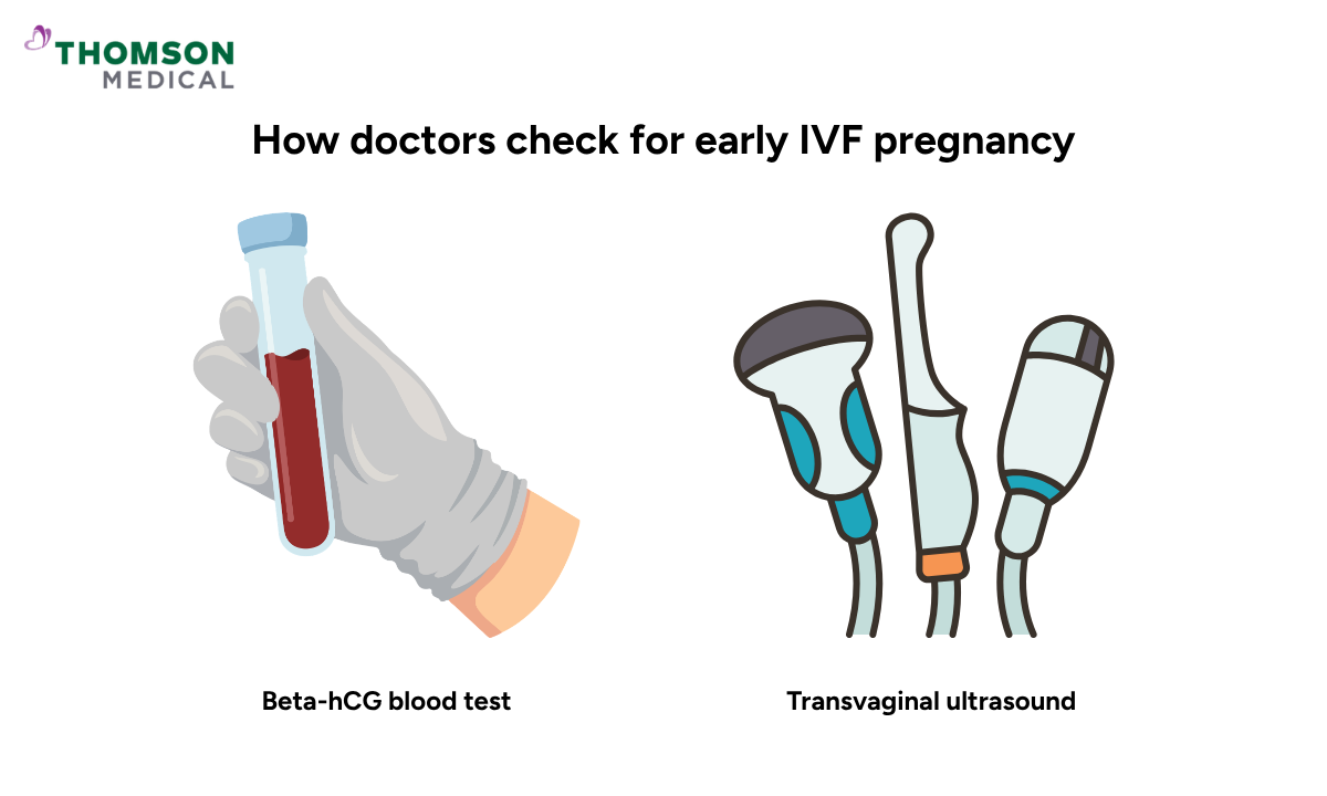 Illustration of how doctors check for early IVF pregnancy