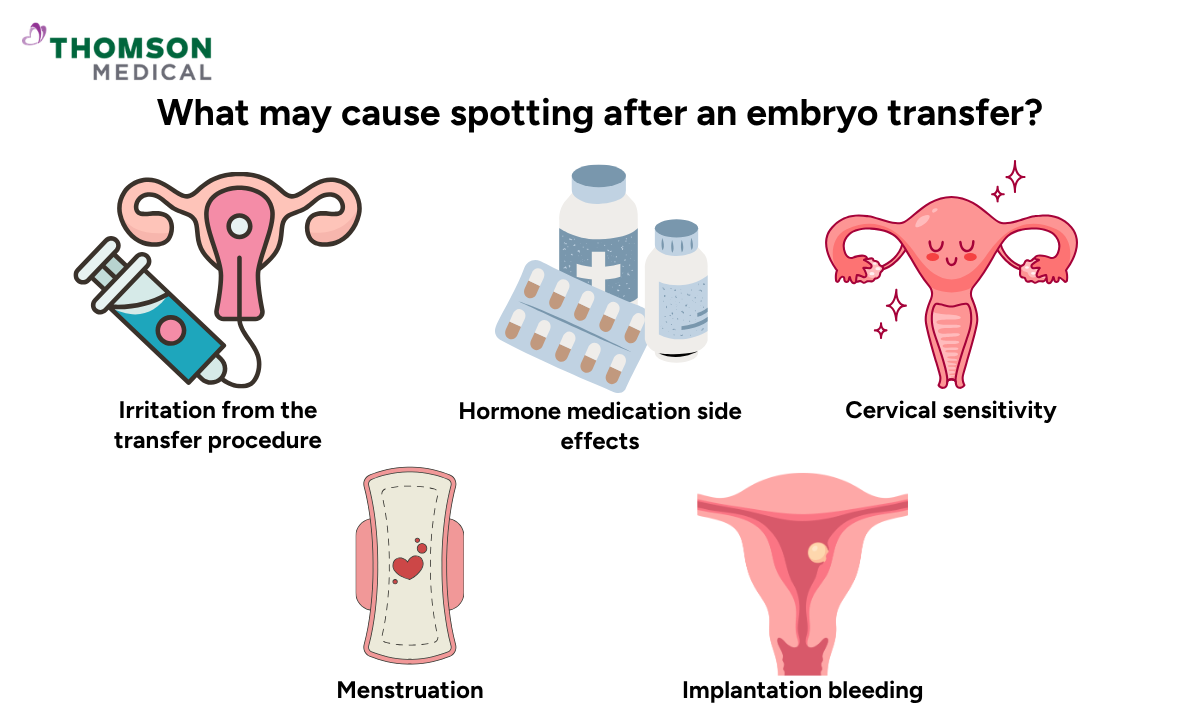Illustration of what may cause spotting after an embryo transfer