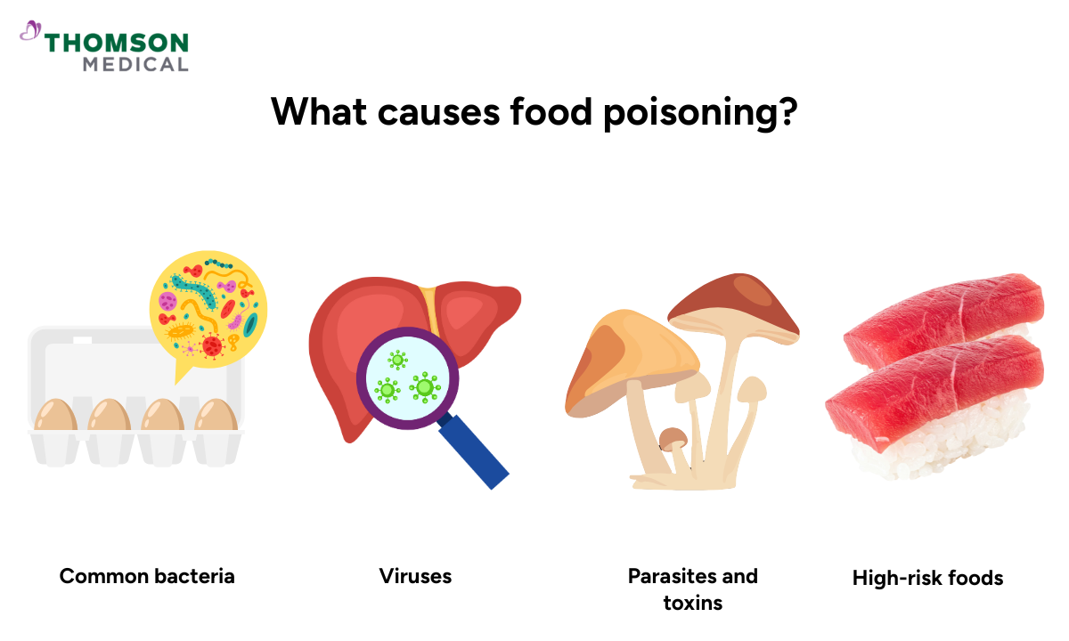 Illustration of the causes of food poisoning