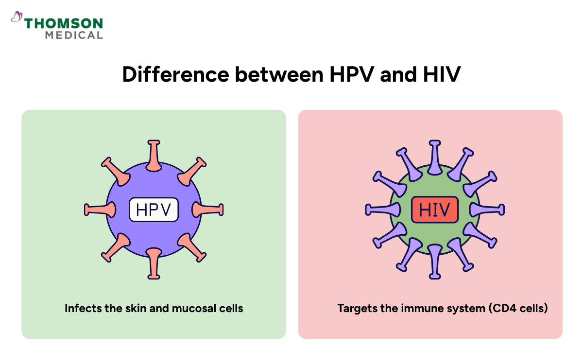 image of difference between HPV and HIV