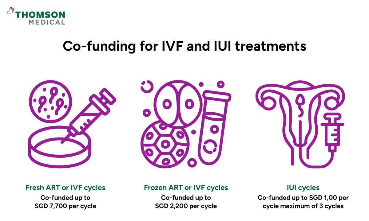 Illustration of co-funding for IVF and IUI treatments