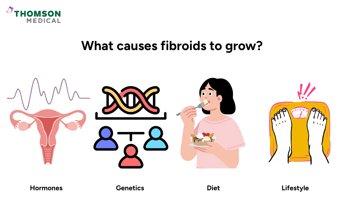 Illustration shows the causes fibroids to grow