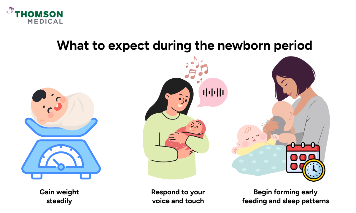 Illustration of what defines the newborn baby period
