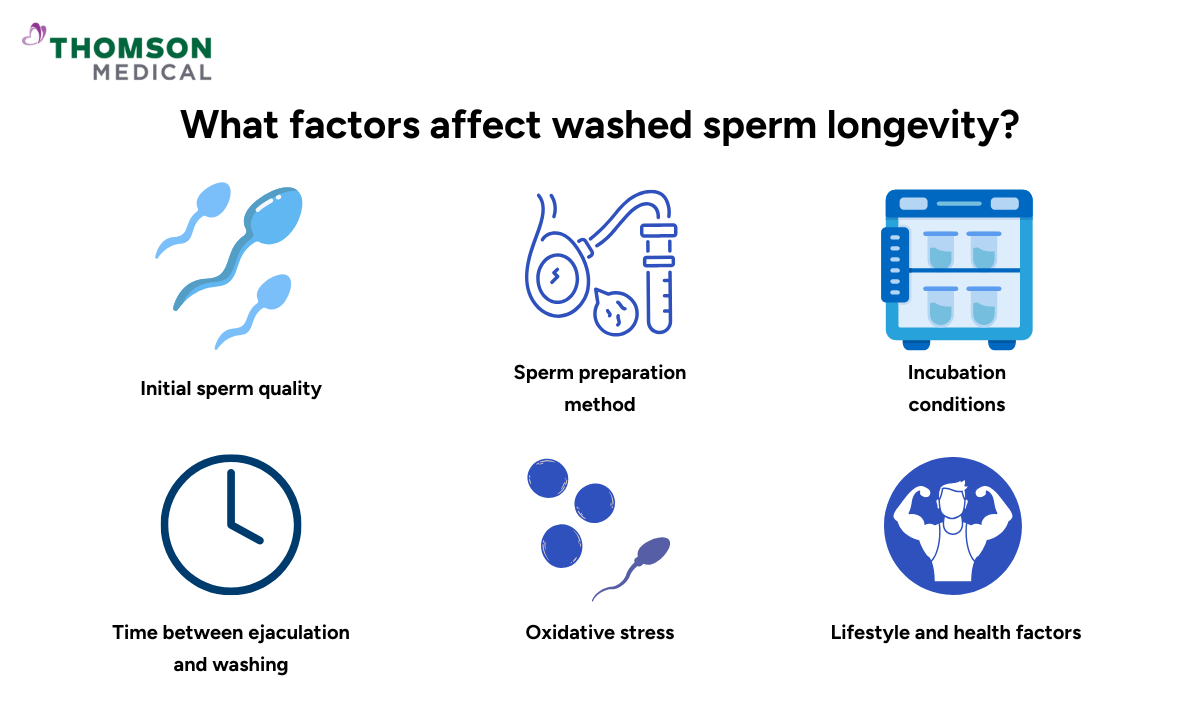 blog-image_obgyn_factors-affect-washed-sperm-longevity.png
