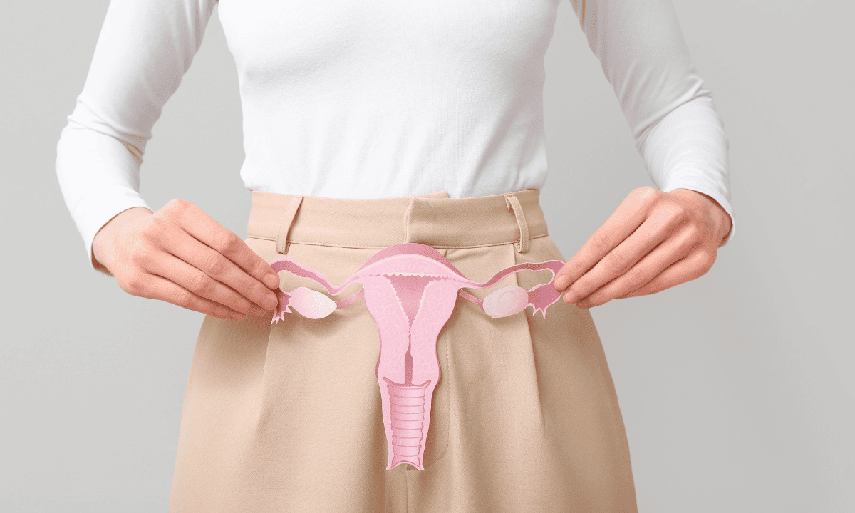 A person holding a pink paper cutout of the female reproductive system in front of their lower abdomen.