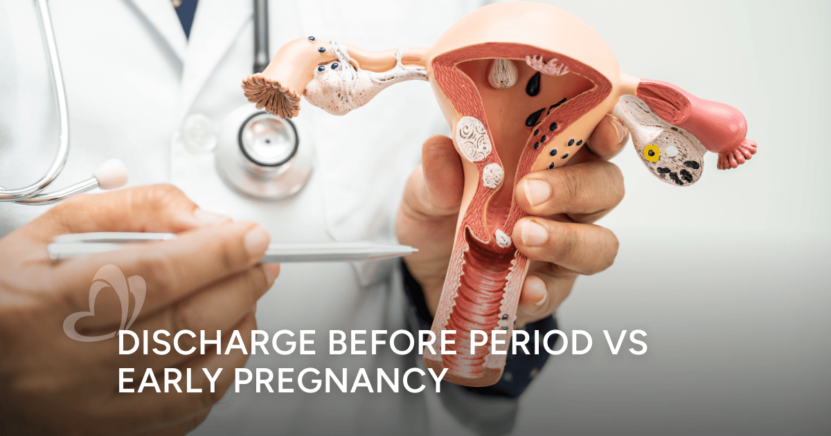 Discharge Before Period vs Early Pregnancy: What's The Difference ...