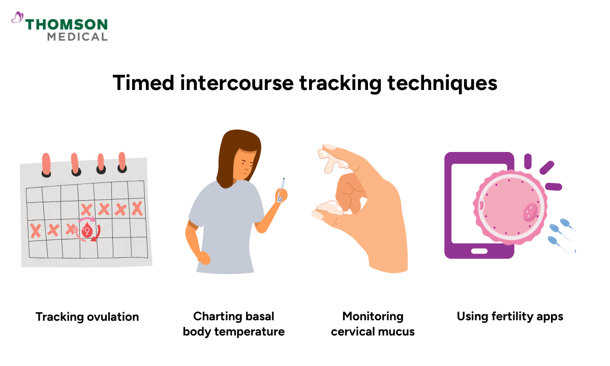 illustration of timed intercourse tracking techniques