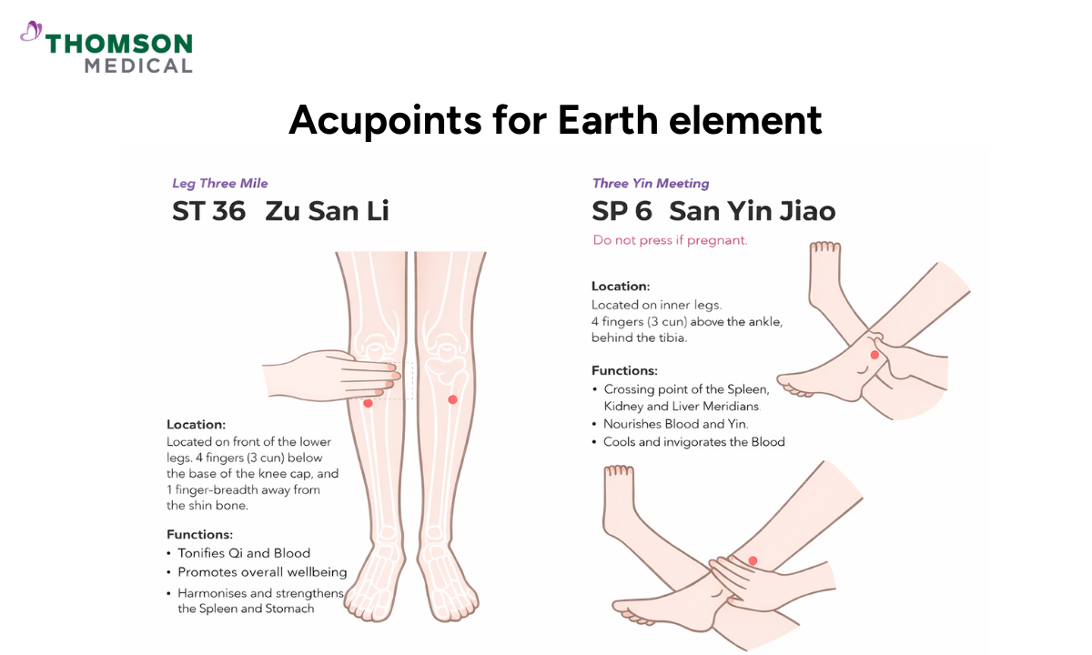 illustration of acupoints for earth element