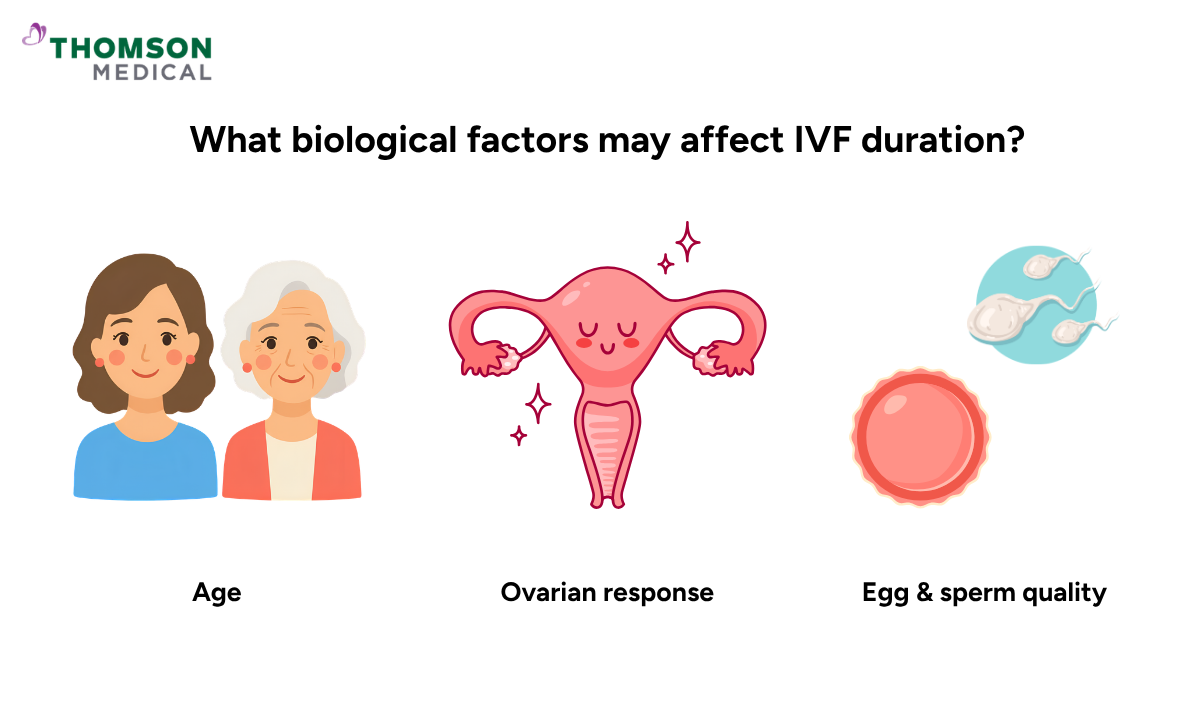 illustration of what biological factors may affect IVF duration