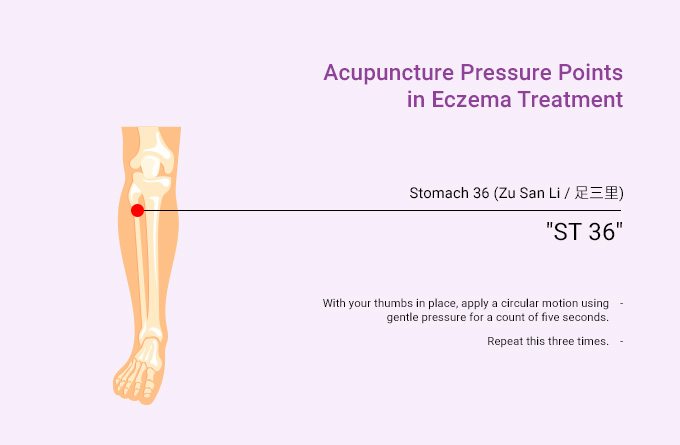 acupuncture-pressure-points-in-eczema-treatment-stomach-36-Zu-San-Li.jpeg