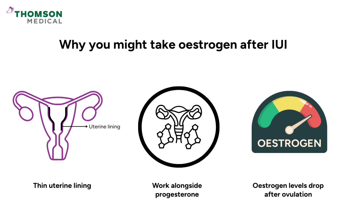 Why you might take oestrogen after IUI