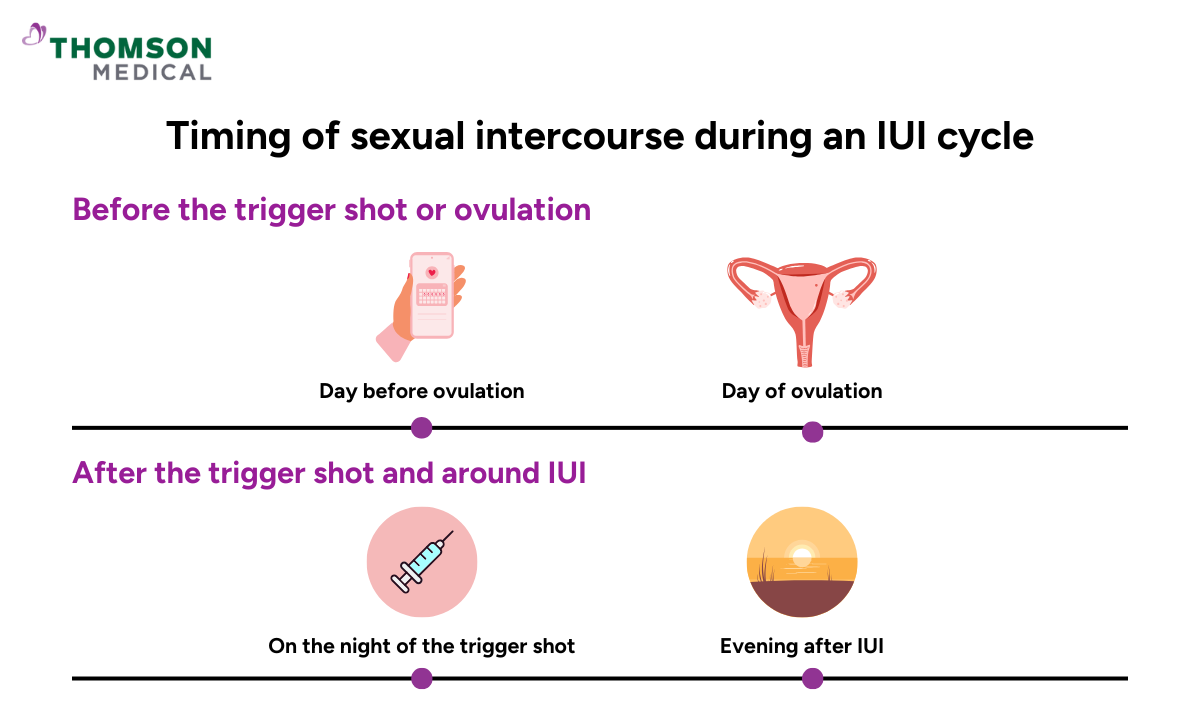 blog-image_obgyn_timing-for-sex.png