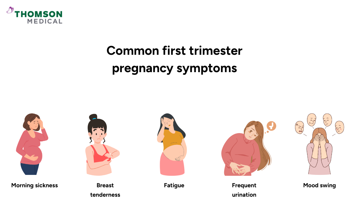 blog-image_obgyn_common-first-trimester-symptoms.png