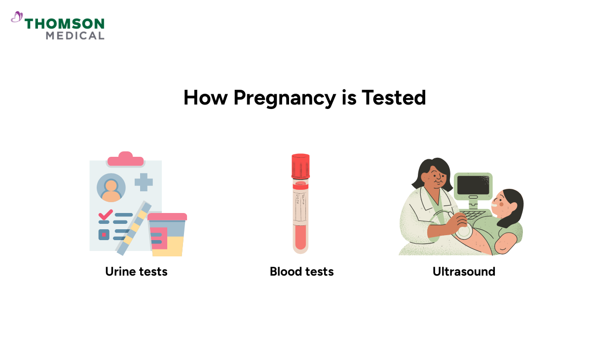 How pregnancy is tested