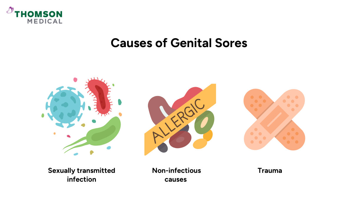 blog-image_obgyn_causes-of-genital-ulcers.png