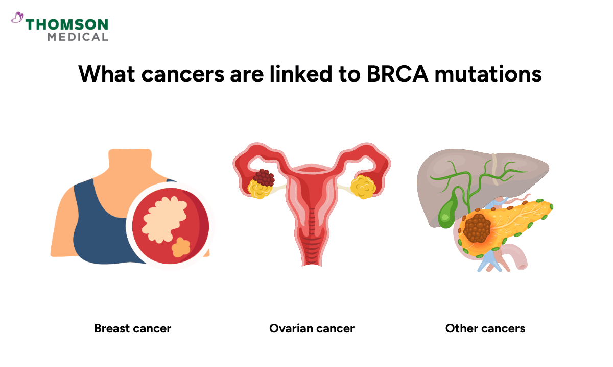 Cancers-that-are-linked-to-brca-mutations