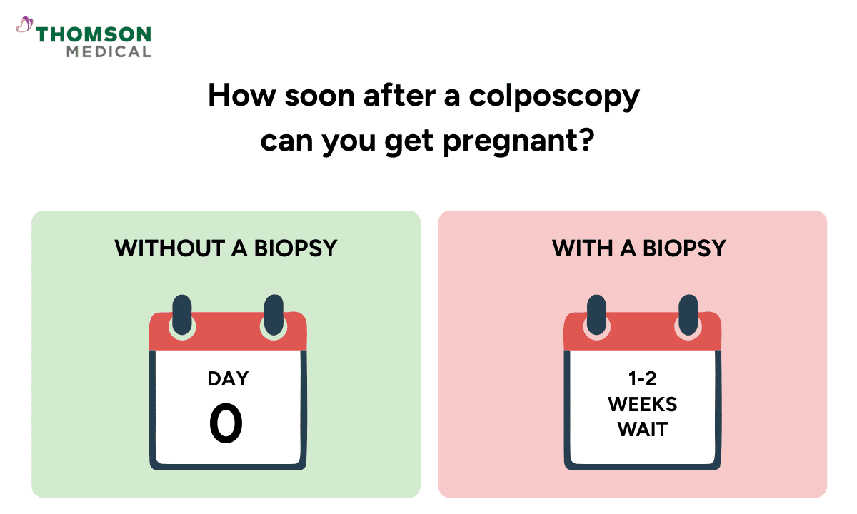 A comparison chart on how soon after a colposcopy you can get pregnant, showing a Day 0 wait time without a biopsy and a 1-2 weeks wait with a biopsy.