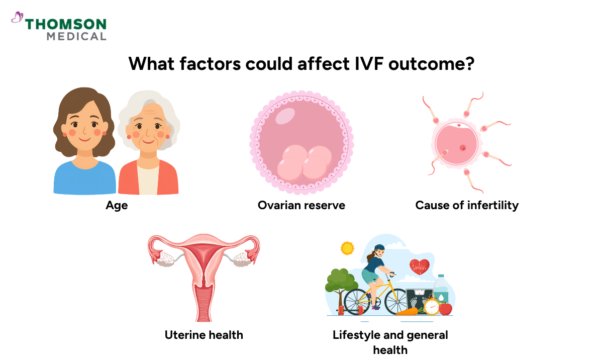 Illustration of what factors could affect IVF outcome