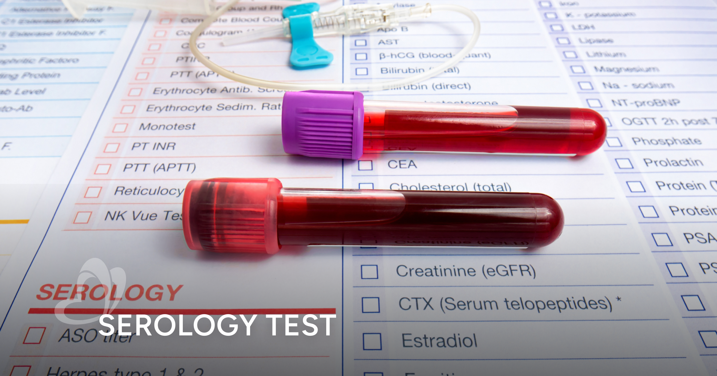 Serological Tests: What They Are, How They Work, and What to Expect ...