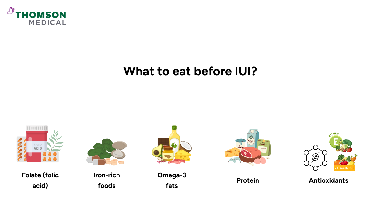 blog-image_obgyn_what-to-eat-before-iui.png