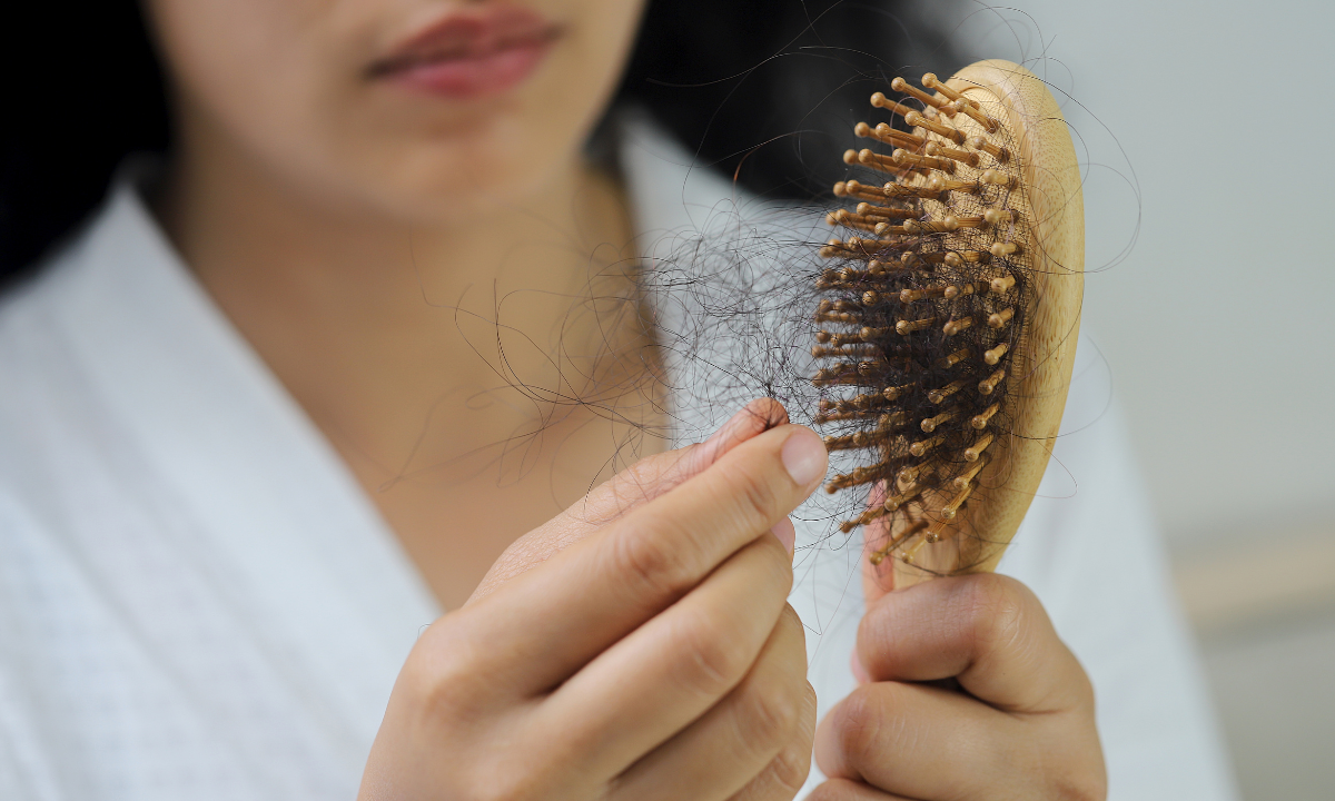A close-up of a person holding a wooden hairbrush filled with loose strands, examining the extent of their hair shedding.