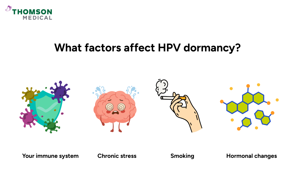 Infographic showing factors that affect HPV dormancy