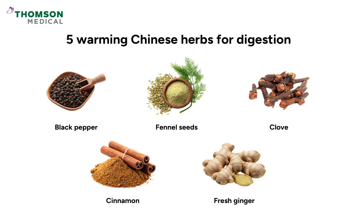 illlustration of 5 warming Chinese herbs for digestion