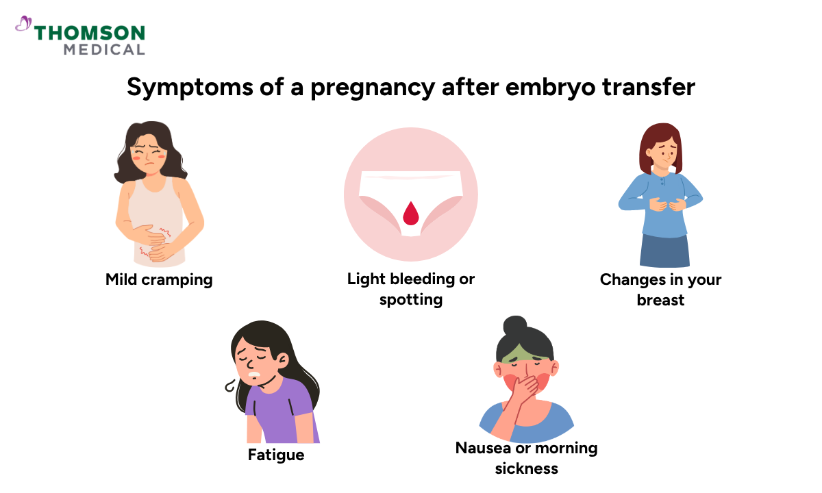 Illustration of symptoms of a pregnancy after embryo transfer