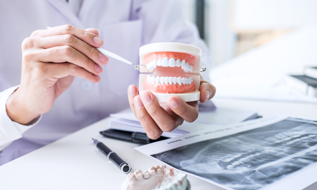 A doctor examining a dental or oral model