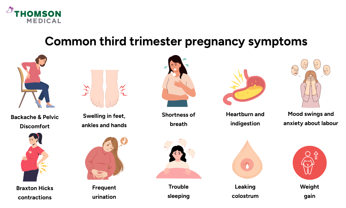 Illustration of common third trimester symptoms