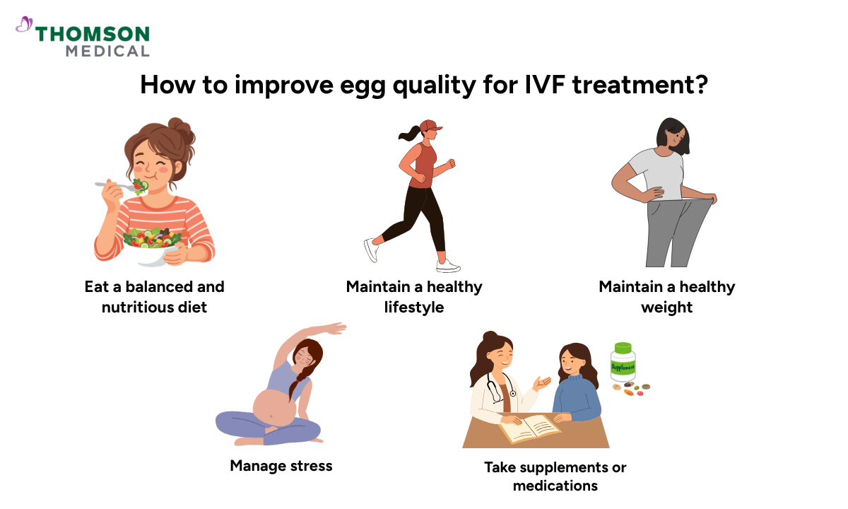 illustration how to improve egg quality for IVF