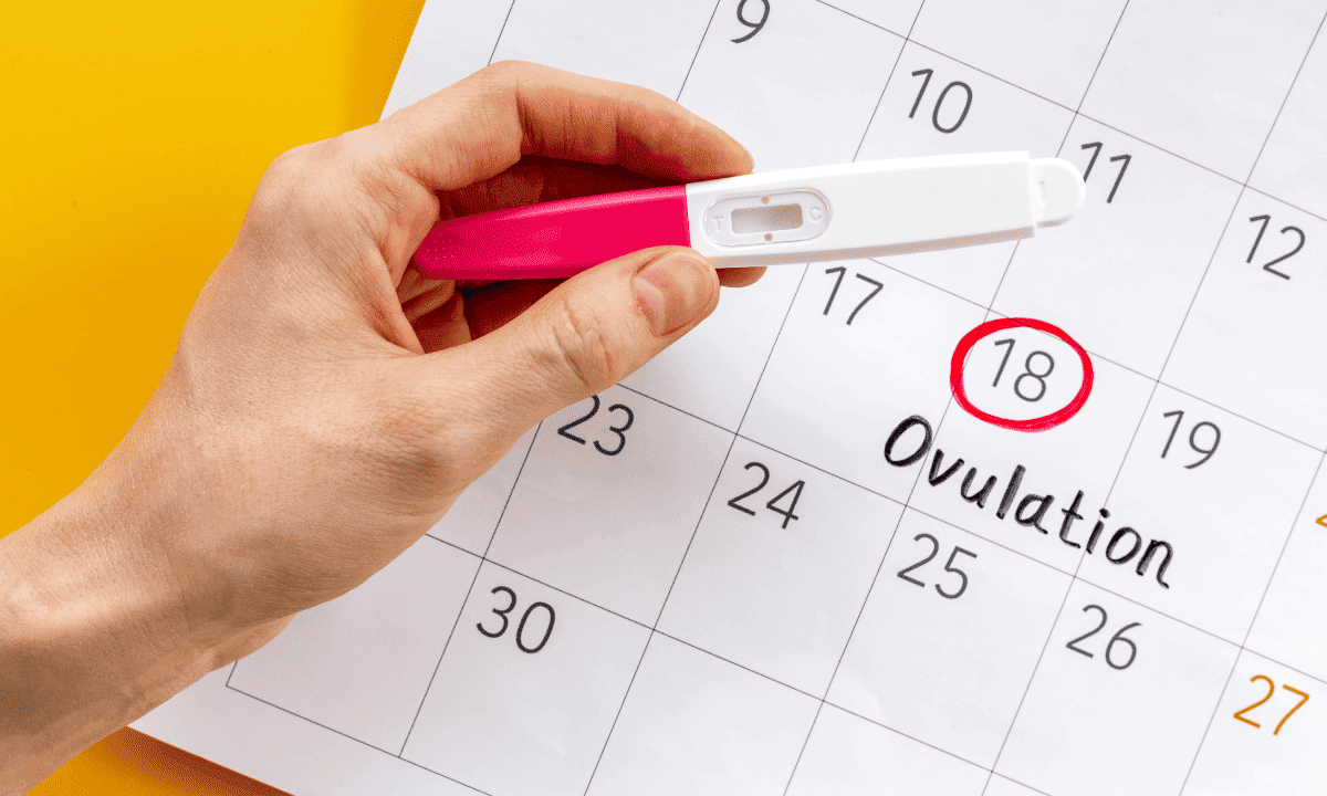 A hand holding an ovulation test strip over a calendar where the 18th is circled in red and labeled 