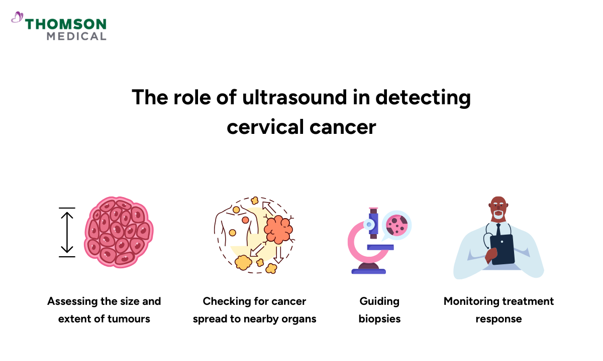 blog-image_oncology_role-of-ultrasound-in-cervical-cancer.png