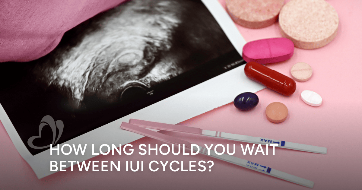 How Long To Wait Between Iui Cycles How Long To Wait Between Iui Cycles