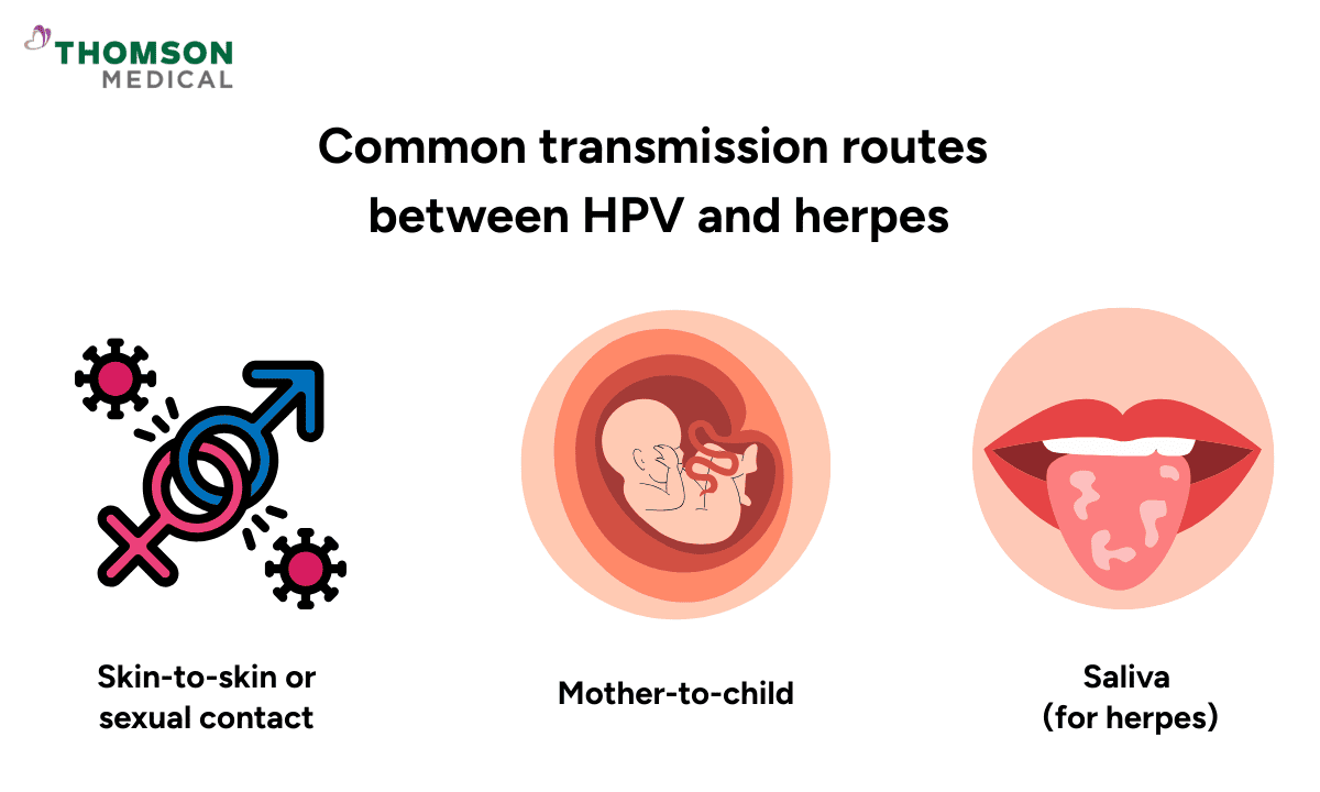 An infographic showing common transmission routes for HPV and herpes, including skin-to-skin/sexual contact, mother-to-child, and saliva (specifically for herpes).