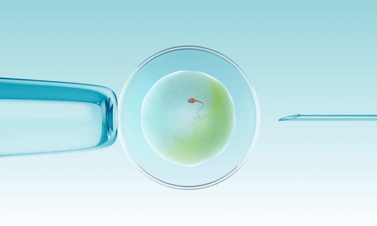 illustration of in vitro fertilisation