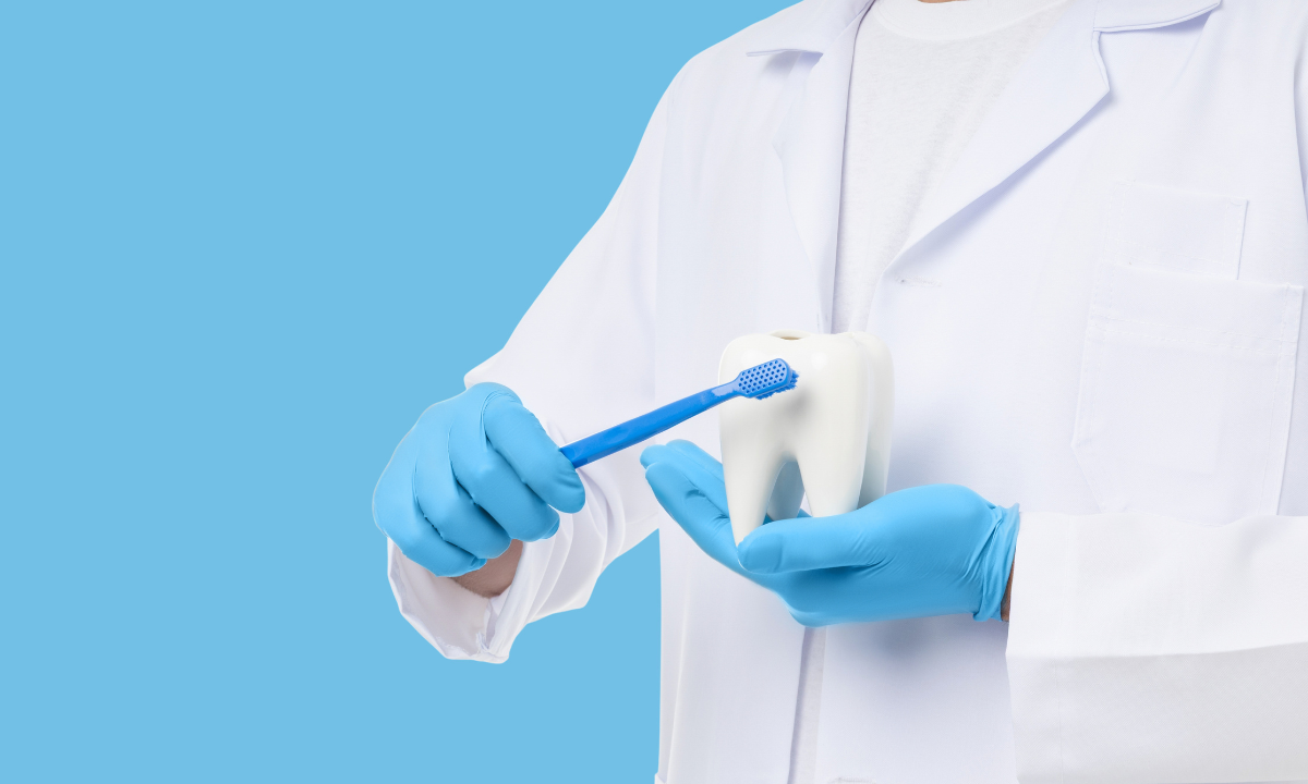 A dentist brushing a tooth model