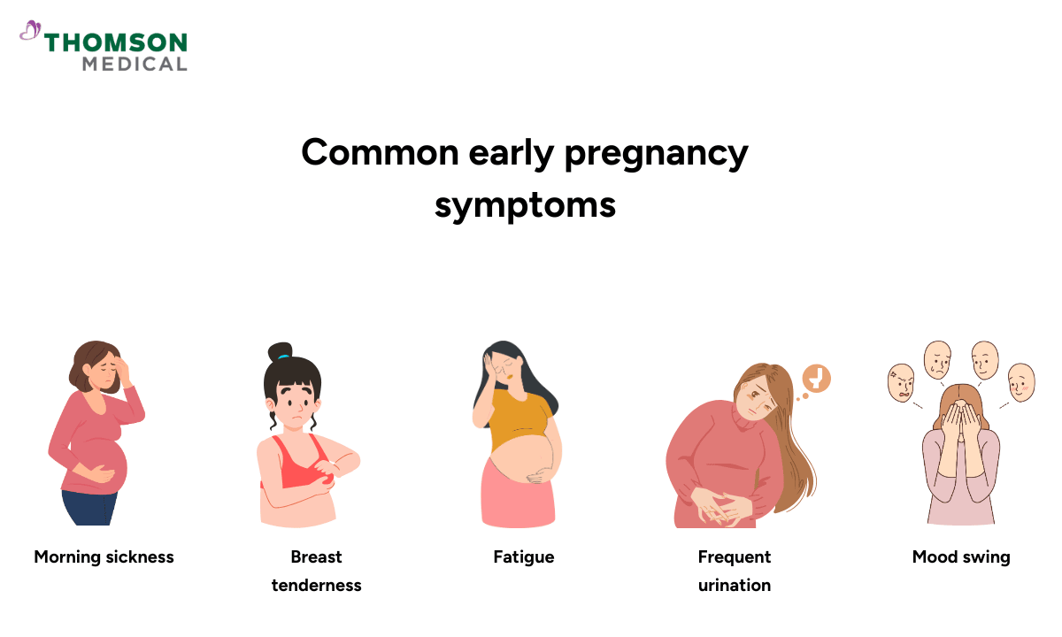 illustration of common early pregnancy symptoms